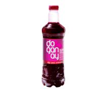 Doğanay Acılı Şalgam 1lt