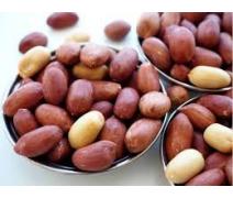 Sade Tuzsuz Fıstık 500gr