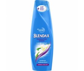 Blendax Temizleyici Bakım 