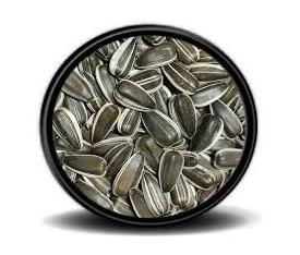 Dakota Çekirdek 500gr